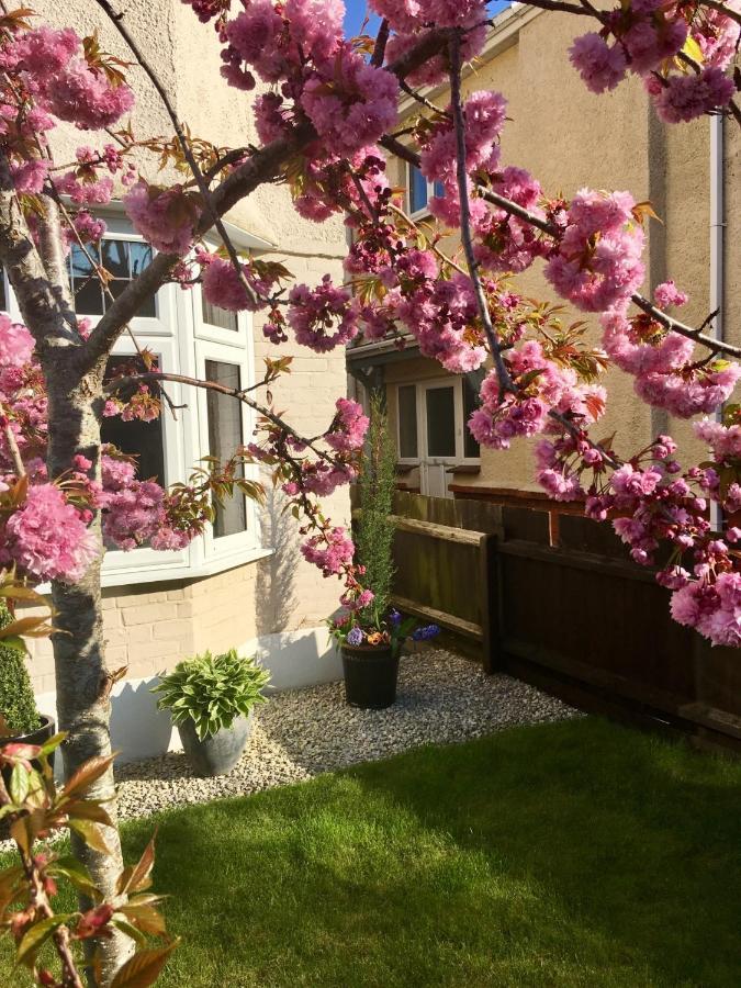 Cherry Tree House Bed & Breakfast Bournemouth Eksteriør bilde